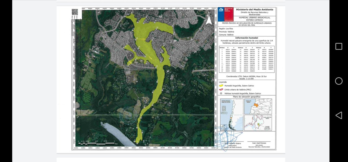 ecruztagle's tweet image. Feliz con la noticias de que #angachillasantuario sera declarado humedal urbano desde #krahmer hasta el río Angachilla incluyendo #catrico. Un paso más en la conservación de #humedales 

#HumedalesUrbanosAhora #humedales #valdivia #DíaMundialdeLosHumedales