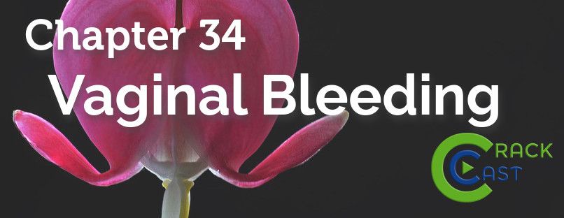 CanadiEM (@wearecanadiem) on Twitter photo Did you hear? The <a href="/crack_cast/">Crack Cast</a> docs are back with an updated episode on vaginal bleeding (Rosen's Chapter 31). Listen to their systematic approach wherever you stream podcasts. cc: <a href="/O_Scheirer/">Owen Scheirer</a>, <a href="/DillanRadomske/">Dillan Radomske</a> + Dr. Savanna Boutin @USaskEM PGY2
buff.ly/2MlLEfM Did you hear? The <a href="/crack_cast/">Crack Cast</a> docs are back with an updated episode on vaginal bleeding (Rosen's Chapter 31). Listen to their systematic approach wherever you stream podcasts. cc: <a href="/O_Scheirer/">Owen Scheirer</a>, <a href="/DillanRadomske/">Dillan Radomske</a> + Dr. Savanna Boutin @USaskEM PGY2
buff.ly/2MlLEfM