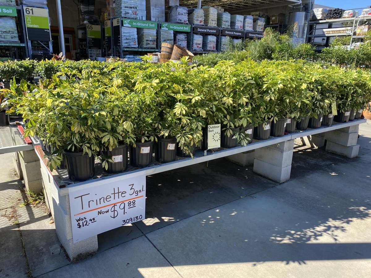 GregWilley4's tweet photo. HD 6936 New Smyrna Beach,Looks good merchandised well reduce signage Trinettes. https://t.co/wh0o4Aeu1y