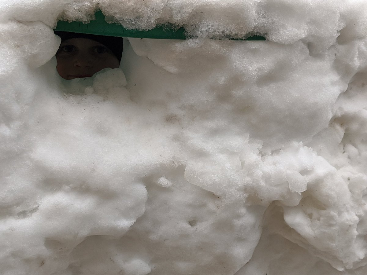 AmandaClack7's tweet photo. @GomersalPSchool think the boys managed DT, PE, PSHE (teamwork and communication) whilst making one igloo! https://t.co/YbUJVeBSjP
