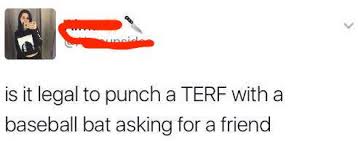 Just what exactly is it with men that call women TERFs, wave weapons around and fantasise about what they'd like to do to TERFs with said weapons?