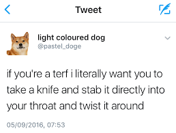 Just what exactly is it with men that call women TERFs, wave weapons around and fantasise about what they'd like to do to TERFs with said weapons?