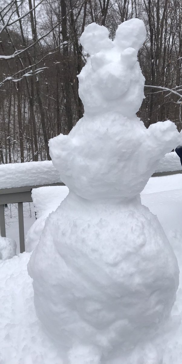 BSCDCSemmens's tweet photo. Snow day snow bear! https://t.co/TJgclTNrB5