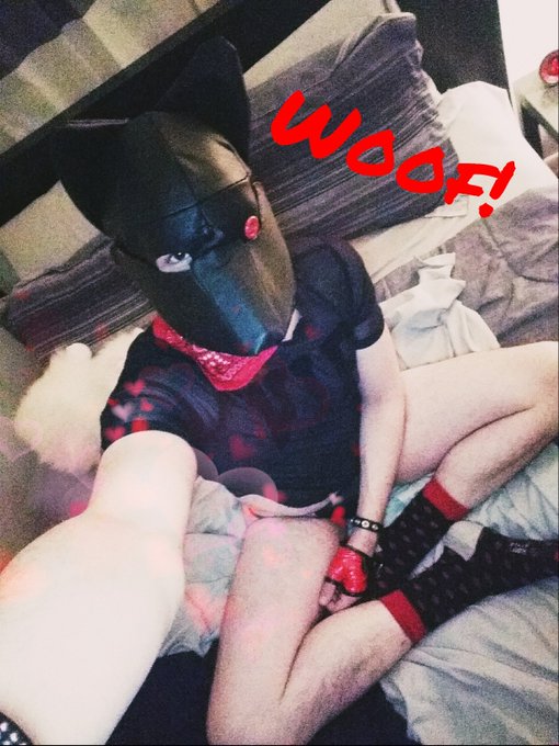 Found some pics of when I started pup play. 🐶 https://t.co/hTY7a73S1P<a href="/tag/gay"class="tags"><span>#gay</span></a><a href="/tag/filterfun"class="tags"><span>#filterfun</span></a><a href="/tag/thatvoice"class="tags"><span>#thatvoice</span></a><a href="/tag/snapchatfilter"class="tags"><span>#snapchatfilter</span></a><a href="/tag/g"class="tags"><span>#g</span></a>