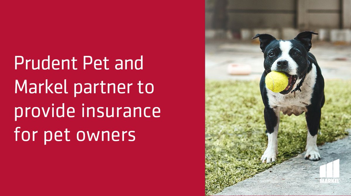 Prudent Pet Insurance Reviews / Nationwide Pet Insurance
