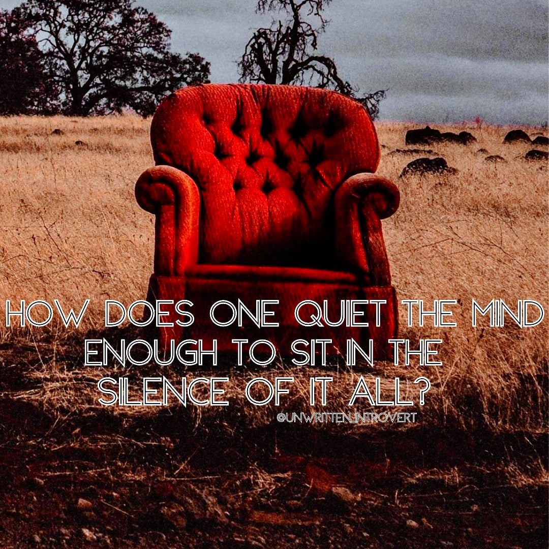 Sometimes we just need to stop and sit.💜
#introvert #introverts #introvertsunite #INFJ #INFP #empath #QuietTime #quiet 💜