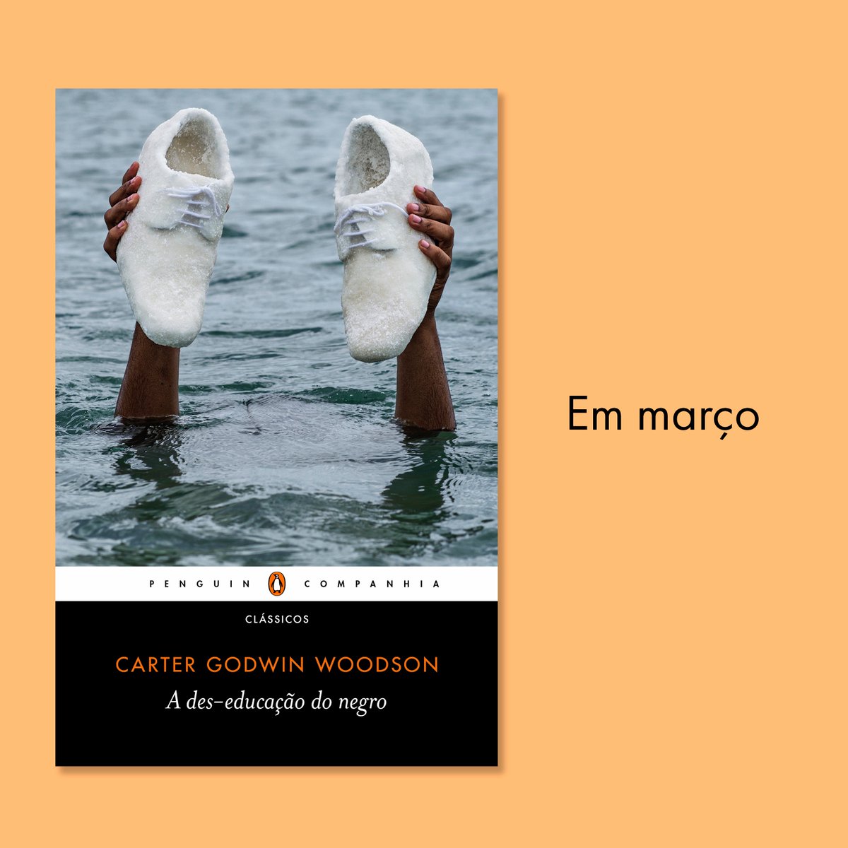 Um dos livros mais emblemáticos sobre educação negra chega em março com nova tradução de Carlos Alberto Medeiros e introdução da profª Ana Lúcia Silva Souza. Polêmico e essencial, "A des-educação do negro" nos ajuda a pensar em uma educação mais ampla e combativa 🐧🐧🐧