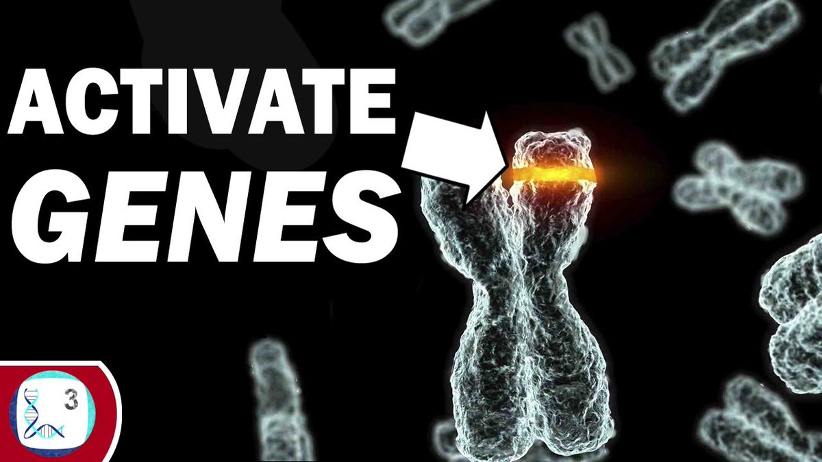 New Video: How Epigenetics Helps Us To Cure Diseases 
🧬💉

youtu.be/9ppzCCGrKYU

#AcademicYouTube #AcademicChatter #Academictwitter #Biology