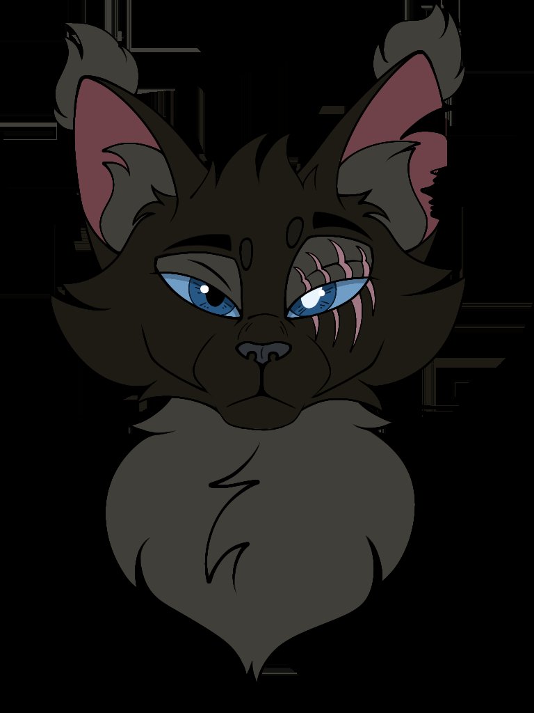 oldquix_maggot's tweet photo. Two recent peices of art ^^ A request and the tabby is a new oc #warriorcats #oc #requst #digitalart #fullbody #headshot #cat https://t.co/ezrWRfcEMM