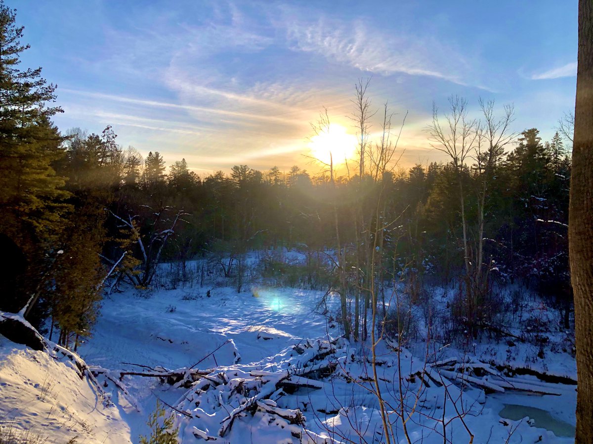 A walk in the woods is always great to clear the cobwebs. #theviewfrommyoffice #tvfmo #photography #nature #winter #sunset #stormhour #bateman #orb #forest #sunset #creek