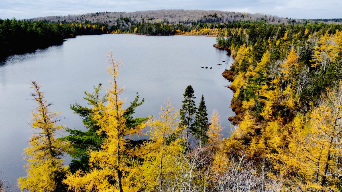 Sackville River Wilderness Area: Near-urban wilderness protection, iconic river, old forest, species-at-risk habitat, critical link in Halifax Greenbelt, outdoor recreation, wetlands, landscape representation.
