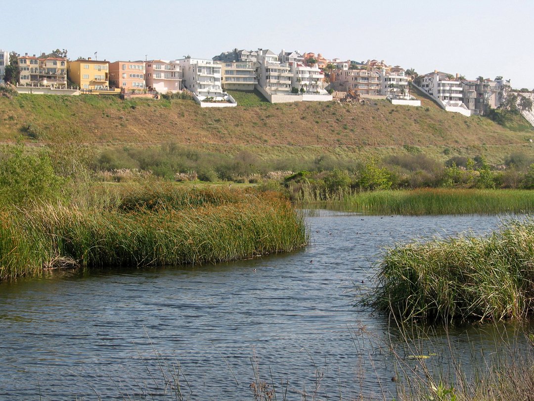 Happy  #WorldWetlandsDay! Give it up for Los Angeles' largest and only remaining native wetlands area, the Ballona Wetlands.  #Westchester  #PlayaDelRey  #MarinaDelRey