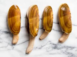 MichaelSkyer's tweet photo. Jeff Bozo stepped down? Who is next? 

Mark Zucchinibread next? Elongated Mollusk? https://t.co/QsxKZy19Sk