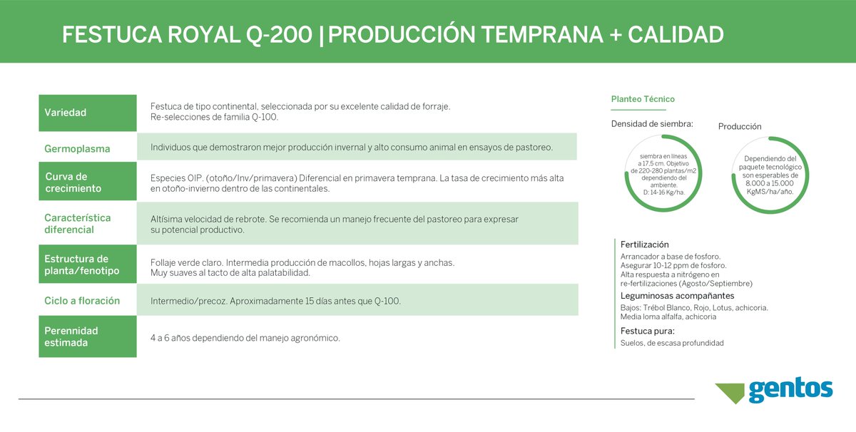 GentosArg's tweet photo. 🔥 Nuevo Lanzamiento!
🌱 Festuca Royal Q-200
• Altísima calidad y preferencia animal
• Maxima producción total y consociabilidad con leguminosas
• La tasa de crecimiento más alta en otoño-invierno dentro de las Continentales
.
#gentos #gentosargentina #festuca #royalq200 https://t.co/NkZ6SL3R21