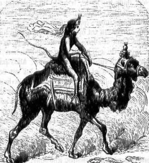 This is Paimon on a camel 