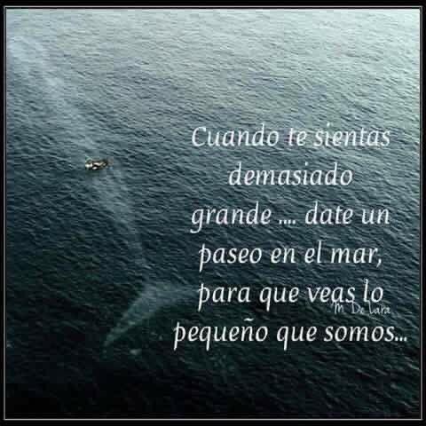 José Guzmán (@joseguzman_14) on Twitter photo 