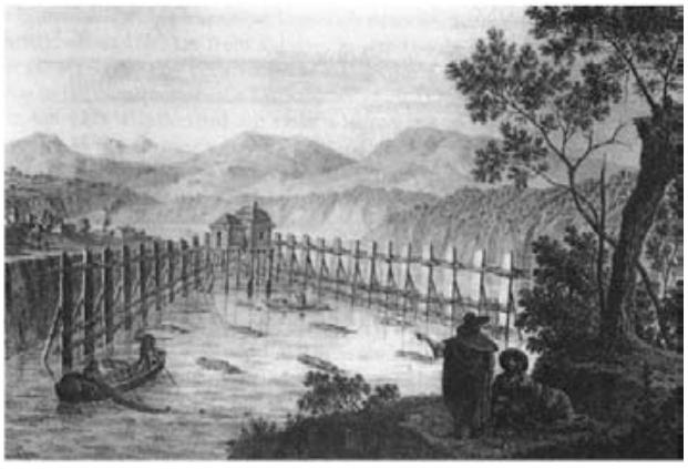 And they are easily caught using fish traps. 19th c. sturgeon traps in the Danube Iron Gates gorge were described as follows: The narrow branches of the Danube are disrupted [by] double post structures made from timber, arranged in a V-shape, opening downstream...