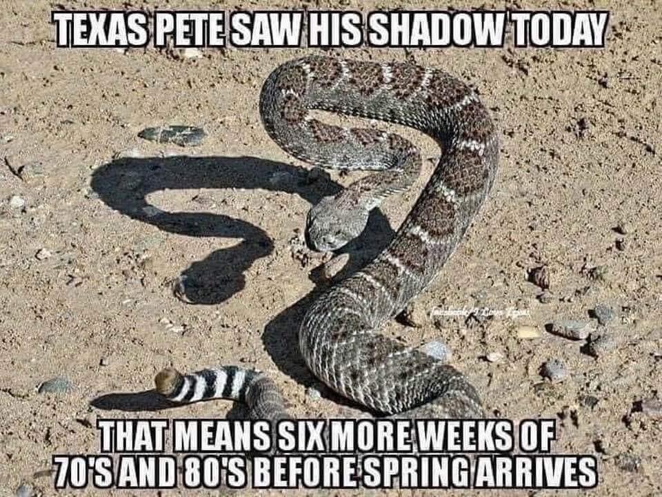 Only in Texas!