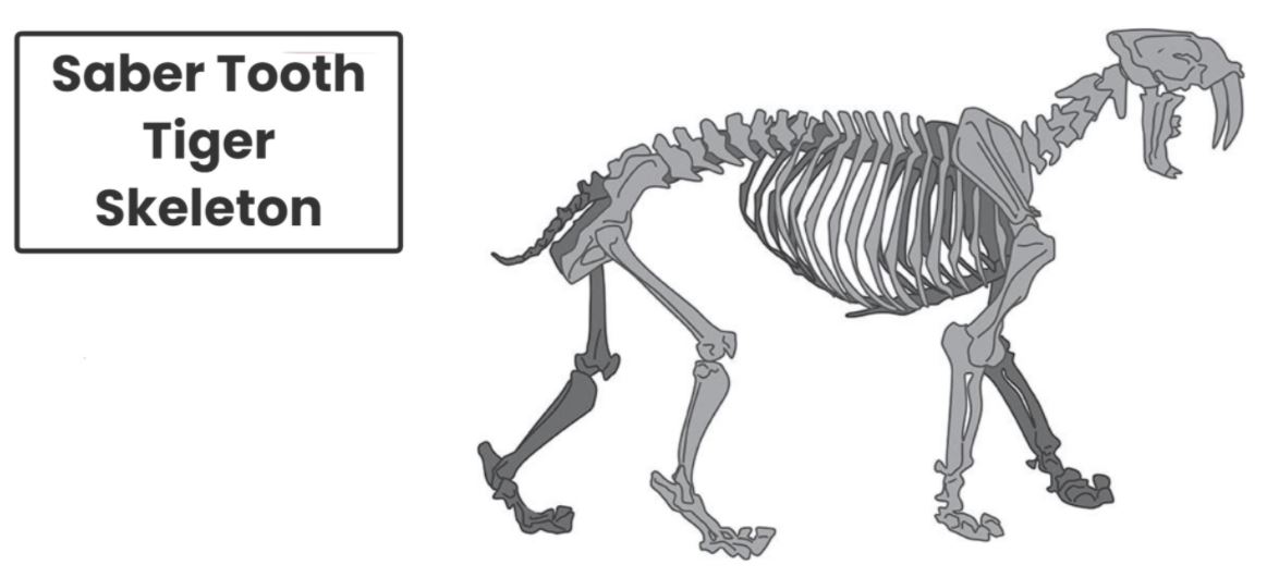 We went on a fossil find &amp; learned that excavating fossils &amp; determining how to arrange them is hard work! I💜this <a href="/ELeducation/">EL Education</a> Module &amp; hope we're inspiring some future paleontologists and archaeologists in  <a href="/es_parkside/">THEParksideES</a> 2nd grade!Parents,are there holes in your backyard yet? 😉