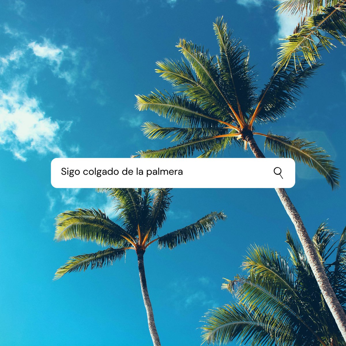 AMADEISTAS's tweet image. [Pueden encontrar las imágenes para hacer screenshot y utilizar de fondo de pantalla en la carpeta &quot;FONDOS&quot; de destacadas en nuestro Instagram] 📱⬇️

📸 #AMADEISTAS : instagram.com/amadeistas?igs…