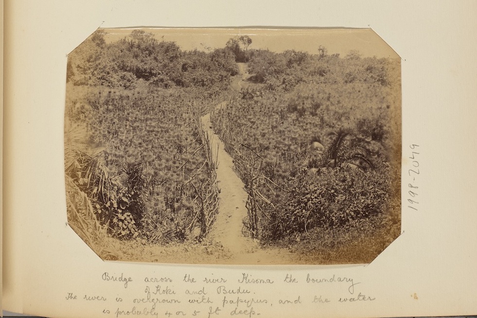 The description for this image reads, ‘Bridge across the river Kisoma the boundary of Koki and Budu The river is overgrown with papyrus, and the water is probably 4 or 5 ftdeep’. 3/7