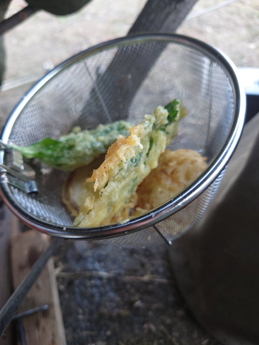 ザ 男飯 キャンプで天ぷら作ってみました やっぱ 外で食べる物はなんでも美味い 料理好きな人と繋がりたい ソロキャン キャンプ好きな人と繋がりたい キャンプギア 男飯 天ぷら料理 ホットサンドメーカー キャンプ好き キャンプ料理 軍幕