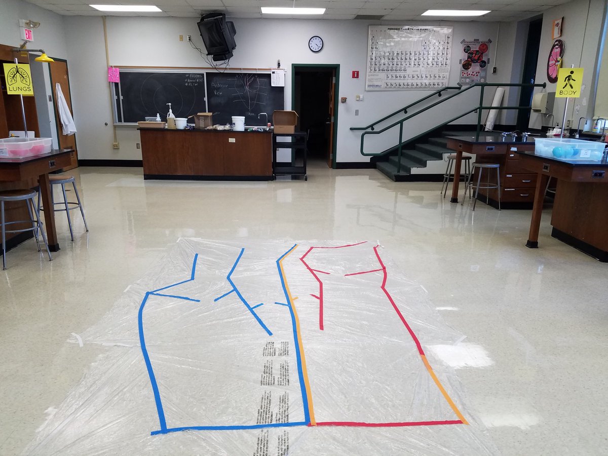 HawleyScience's tweet image. Ready for students to walk the heart. #rhsbms #learnatRHS @PLTWorg
