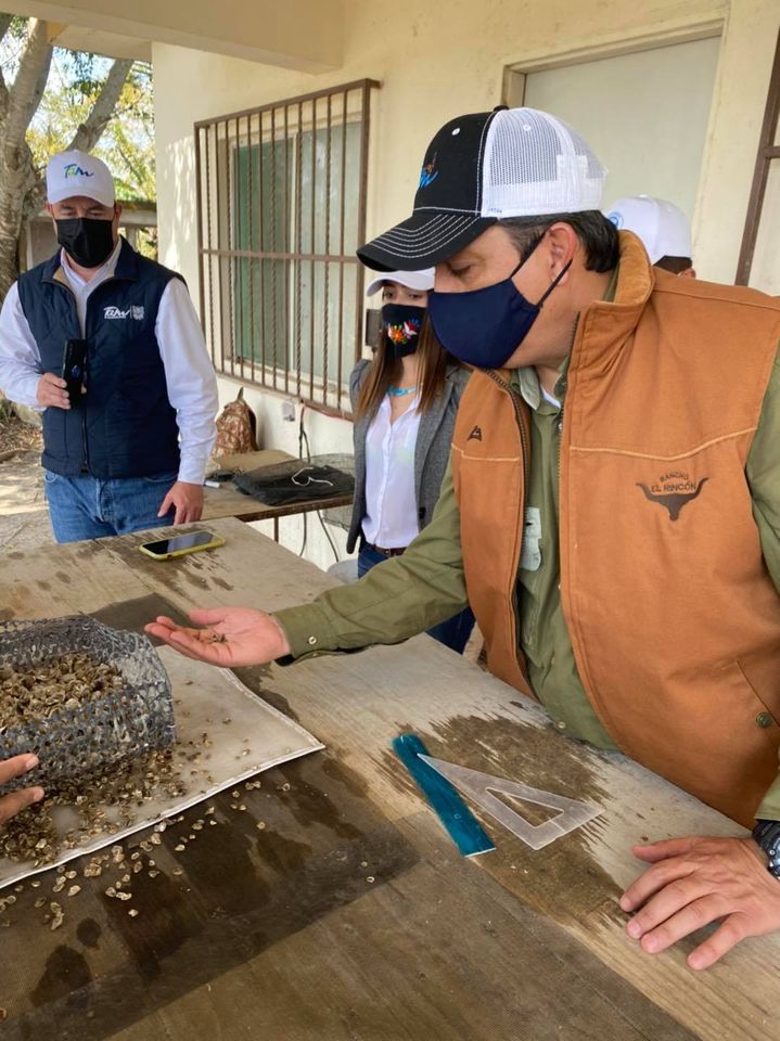 Agradecemos al señor Gobernador su grata e importante visita a nuestra Universidad para conocer el apoyo técnico que la UTMarT brinda al nuevo proyecto Acuícola impulsado por el Lic. Francisco García Cabeza de Vaca.

#utmart #acuacultura #gobtam #lapesca #tamaulipas