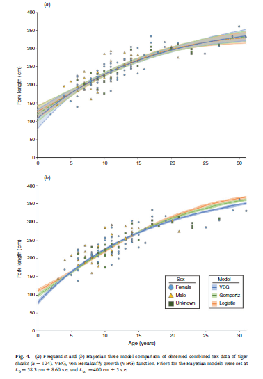 Colin Simpfendorfer (@sharkcolin) on Twitter photo <a href="/soemmons/">Sophia Emmons</a> compared frequentist (top) and Bayesian (bottom) approaches to fitting growth curves to tiger #sharks and and showed that the later gave more realistic estimates of maximum size.
#sharkscience <a href="/jcu/">James Cook Uni</a> @CSTFA_JCU @Jon_Smart1 <a href="/brooke_dalberto/">Brooke D'Alberto</a> @sharkager <a href="/soemmons/">Sophia Emmons</a> compared frequentist (top) and Bayesian (bottom) approaches to fitting growth curves to tiger #sharks and and showed that the later gave more realistic estimates of maximum size.
#sharkscience <a href="/jcu/">James Cook Uni</a> @CSTFA_JCU @Jon_Smart1 <a href="/brooke_dalberto/">Brooke D'Alberto</a> @sharkager