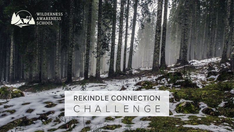 teamcoyote's tweet photo. Please join us for our free 7-Day Rekindle Connection Challenge: Feb 12-19 https://t.co/02ANibypEX

#natureconnection #lunarnewyear #imbolc https://t.co/4in8ltuFR6