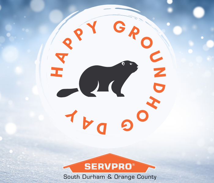 ServproSDOC's tweet photo. Punxsutawney Phil saw his shadow and predicts 6 more weeks of winter. ❄ Learn more about how you can continue to protect your home and business from winter weather conditions: https://t.co/zFOnDeEwUK https://t.co/H4ZeMllrFn