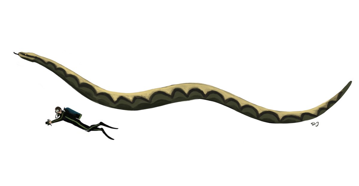 Is it possible that the ancient Egyptians found the remains of Gigantophis and other large snakes that roamed Egypt millions of years before, and this either inspired or confirmed the myth? Gigantophis has been estimated at over 10 m, but there's uncertainty about this.