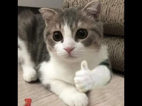 よくできました Twitter Search