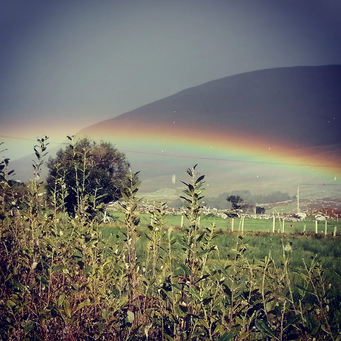 EasyTreesIE's tweet photo. @gardainfo @fedpolCH #Treemendous, we accept your @gardainfo challenge, #gottopractice with the #spades now, #treeplanters, as we #StayHomeStaySafe looks like #lotsoffun in the great #green #landscapes!#allinthistogether https://t.co/IRhOU6tB9u