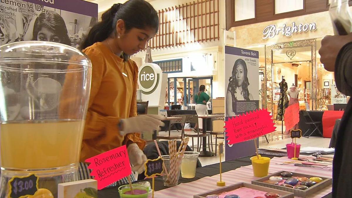 LemonadeDay's tweet image. 🍋 Saanvi Vinod, 2019 LD National Entrepreneur of the Year, gives us an update on what she&apos;s been up to since she won. 

⭐️ Find out why Vice President Kamala Harris is such a big inspiration for Saanvi: ow.ly/240C50DpAJw

#LemonadeDay #LDBlog #YouthEntrepreneur