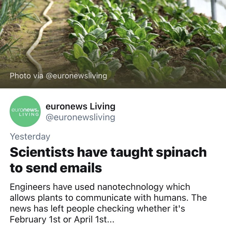 CwinTalk's tweet image. Tight. Ok spinach, you got this then? I’m not gonna read the whole article, just email me a rundown.