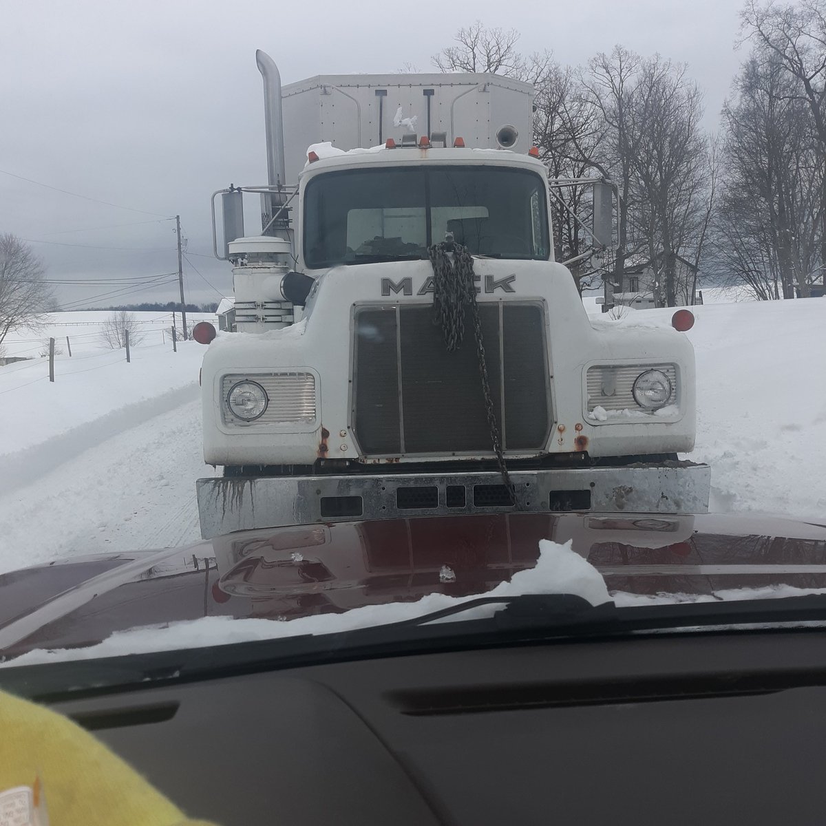 I had never considered  the bulldog a place to hang the chain.  lam glad his Silverado  doesn't  have a hood ornament