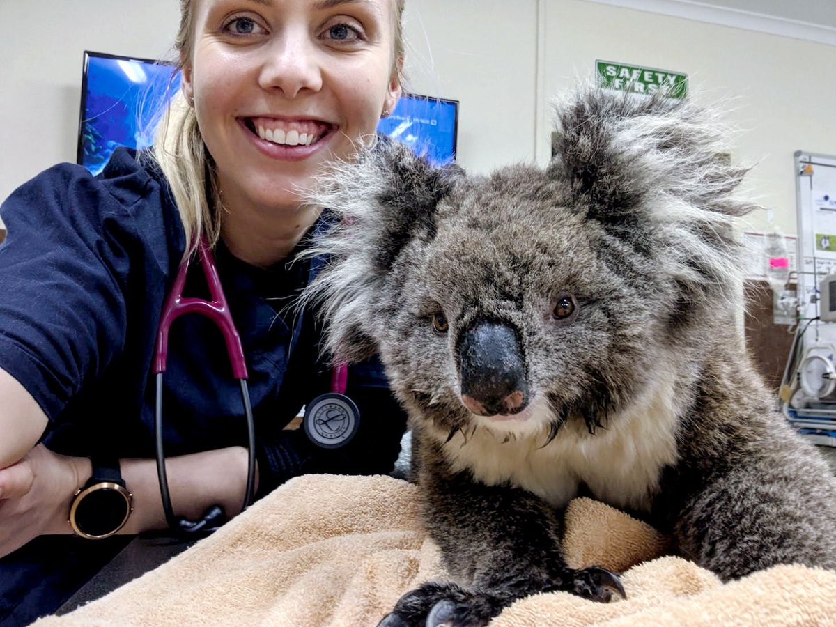 UofA_SET's tweet photo. @UniAdelSciences graduate Dr Hannah Passmore saves lives for a living – as a vet at an animal emergency centre in Adelaide - https://t.co/ff1z0UULwa

via @CareerswithSTEM
@EngagewithUoA #ScienceAlumni #UniofAdelaide #sciencetwitter #careersinstem #steminspiration #stemjobs https://t.co/WK4xAdYr06