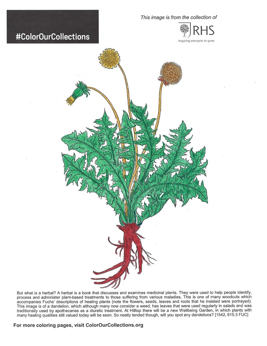 awkwardbotany's tweet image. Colored a page from @The_RHS for #colorourcollection 2021