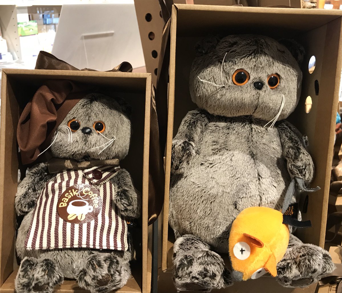 4階文具】こうして並べると圧巻ですね…！この子たちは海を越えてロシア