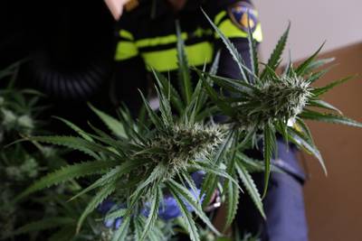 Politie vindt na tip grote hennepkwekerij in bedrijfspand in Ulft: twee arrestaties..
