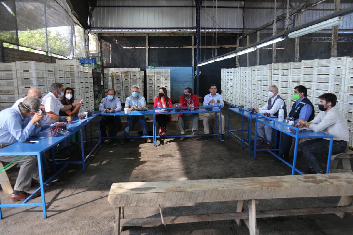 meryundurraga's tweet photo. Nos reunimos con productores de uva de mesa de las provincias de San Felipe y Los Andes, @UvanovaChile y @MinagriValpo para escuchar las necesidades de los agricultores afectados por las lluvias y seguir avanzando de forma coordinada en soluciones frente a la emergencia. https://t.co/T768pLWCIp