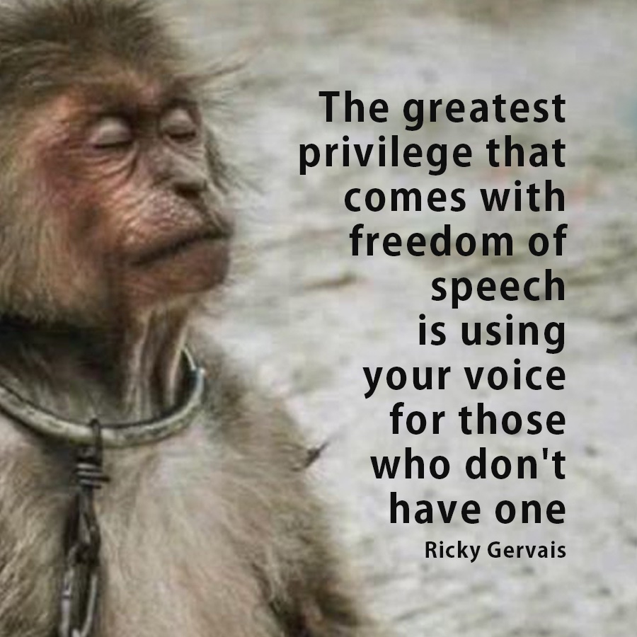 _AnimalAdvocate's tweet photo. Injustice thrives on silence, inaction and inequality.⚖️
#Justice only exists in the practice of it and when all are equally protected by it. There can be no justice without #AnimalRights🙊
Go #vegan🙏

@RickyGervais @Protect_Wldlife @PeterEgan6 @zbleumoon @vegix @Ivy_MiddletonUK https://t.co/Gxu4csXzHd