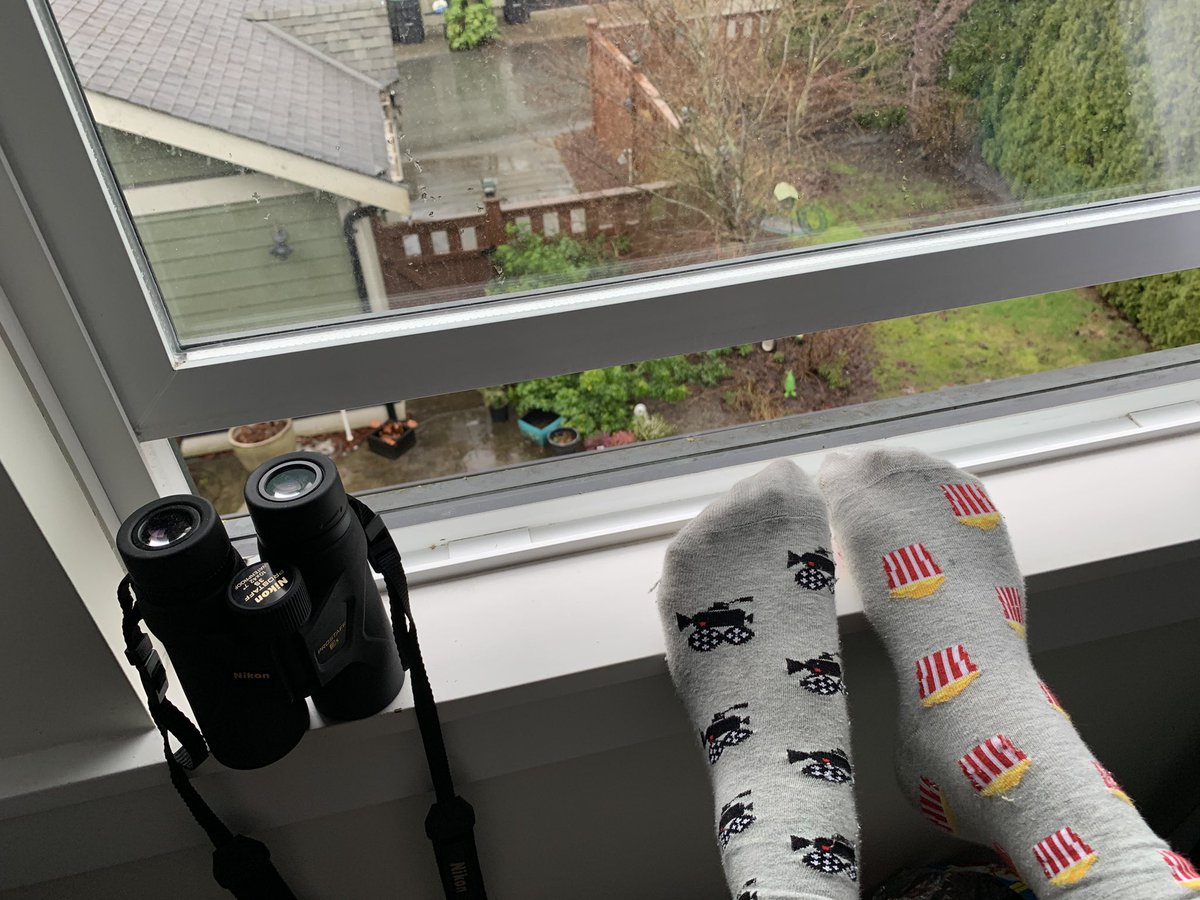 Dr. Heather Grant tweet media