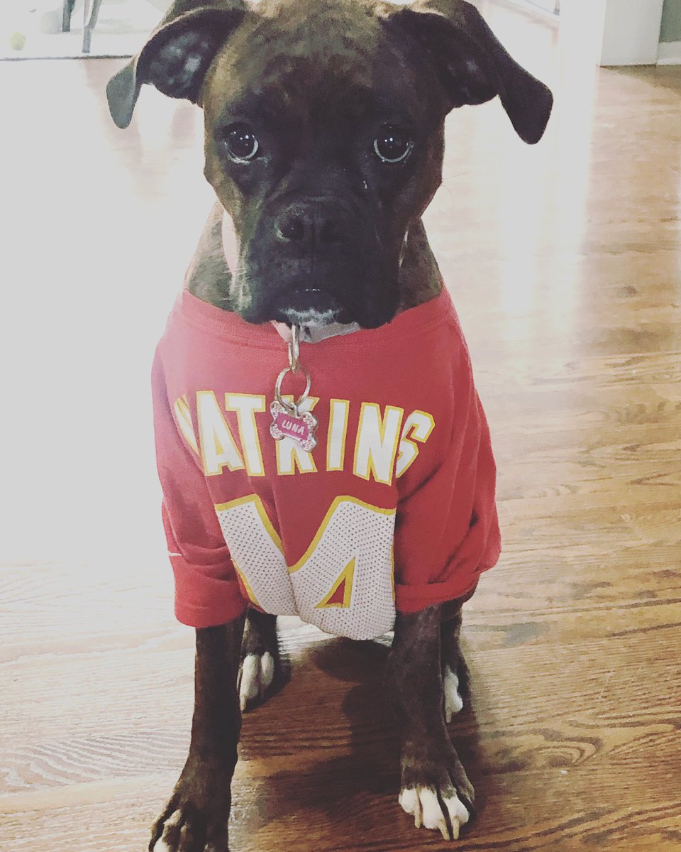 Luna is ready #SuperBowl let’s go <a href="/Chiefs/">Kansas City Chiefs</a>