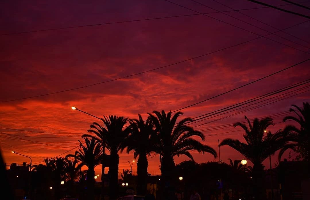 _FernandaCharaa's tweet image. 