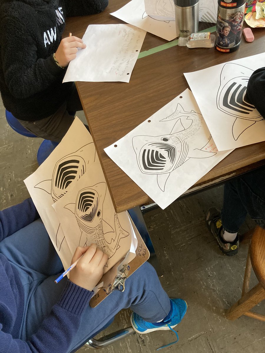 TseJeff's tweet image. Division 6 working on some posters today to spread awareness about sea animals at risks! @GetKahoot questions making tomorrow before we post the posters and challenge classes to a fun quiz!! @seasmartschool @renfrewschool 
#inquiryproject #collaboration