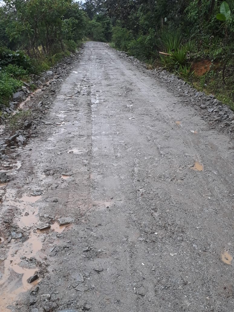 MunicipioCelica's tweet photo. 💪Las carreteras del sector rural toman impulso en la actual administración del Ing. Oswaldo Román, alcalde del cantón #Celica. Trabajamos en lastrado de la vía: Y de #Roblones - #Guangulo - #Balsas. Hoy las familias de estos sectores tienen caminos dignos. https://t.co/VVS7lXX6yr