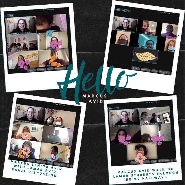 @MarcusAVID tweet media