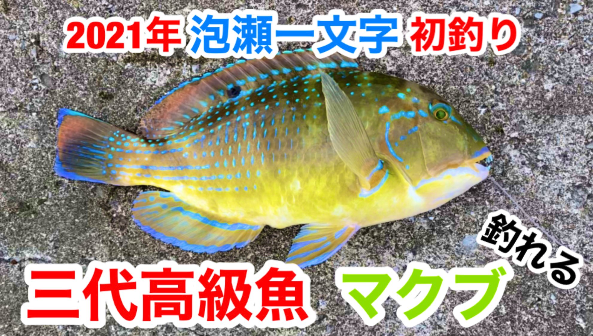 マクブ Twitter Search Twitter